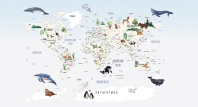 Фотообои  Onprint Детская коллекция Animap 1 q