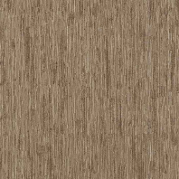 Обои Zambaiti Parati Trussardi V 21813
